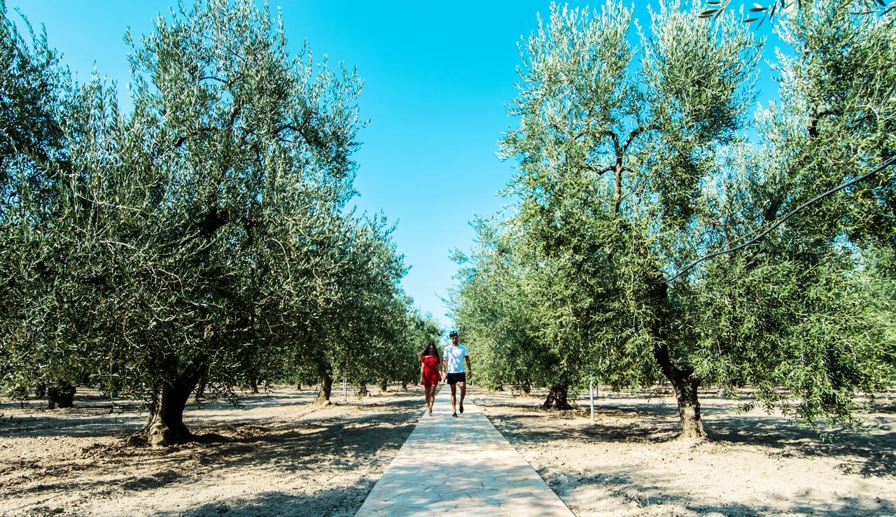 Giardino Degli Ulivi Masseria