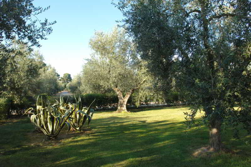 Giardino Degli Ulivi Masseria Hotel Margherita Di Savoia