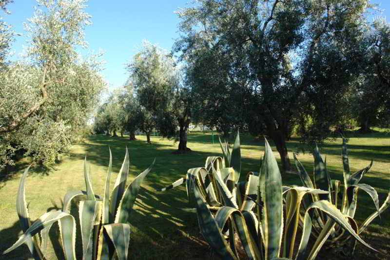 Giardino Degli Ulivi Masseria Hotel Margherita Di Savoia